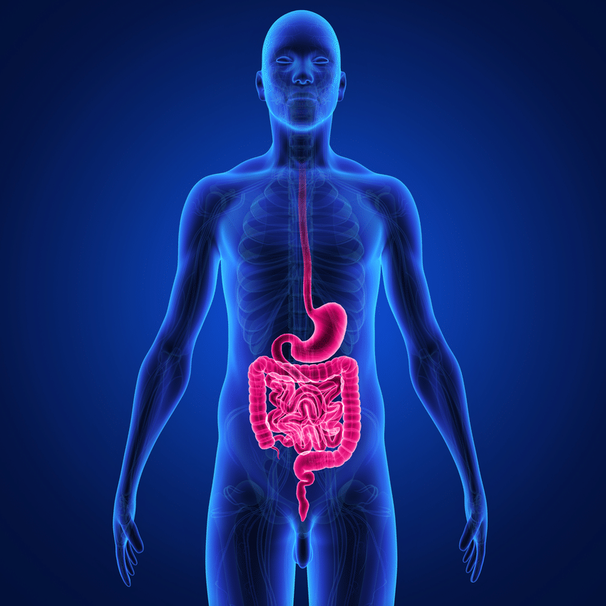 Hydro Colon Therapy Process